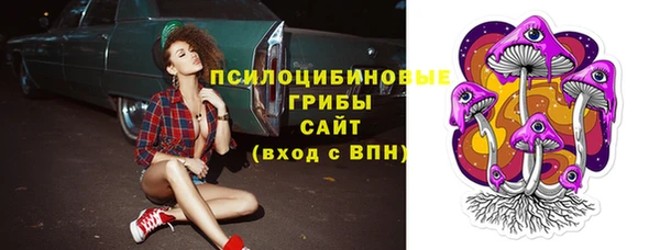 прущая мука Пенза