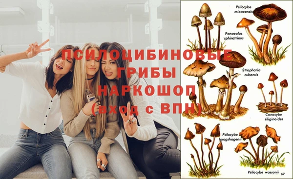 прущая мука Пенза