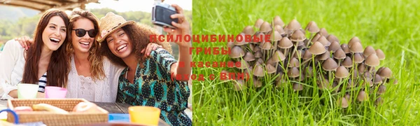 apvp Абдулино